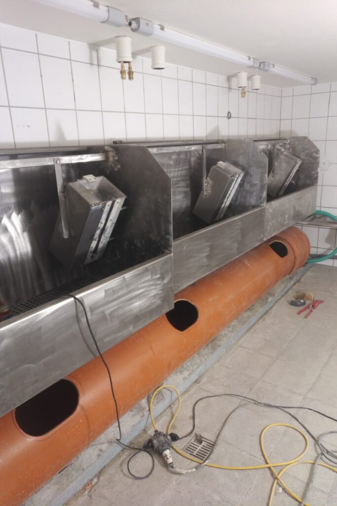 IMG_20220131_1353269-683x1024